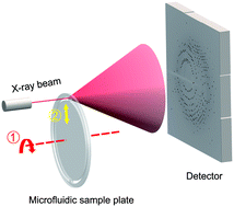 Graphical abstract: A novel sample delivery system based on circular motion for in situ serial synchrotron crystallography