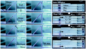 Graphical abstract: A microfluidic circuit consisting of individualized components with a 3D slope valve for automation of sequential liquid control