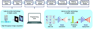 Graphical abstract: AI on a chip