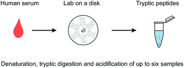 Graphical abstract: Tryptic digestion of human serum for proteomic mass spectrometry automated by centrifugal microfluidics
