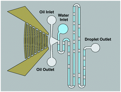 Graphical abstract: Deterministic droplet coding via acoustofluidics