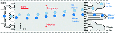 Graphical abstract: On-chip density-based sorting of supercooled droplets and frozen droplets in continuous flow