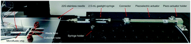 Graphical abstract: User-friendly image-activated microfluidic cell sorting technique using an optimized, fast deep learning algorithm