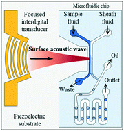 Graphical abstract: Acoustofluidic generation of droplets with tunable chemical concentrations