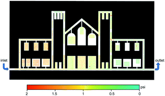 Graphical abstract: Distributed colorimetric interferometer for mapping the pressure distribution in a complex microfluidics network