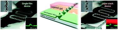 Graphical abstract: Tough, permeable and biocompatible microfluidic devices formed through the buckling delamination of soft hydrogel films