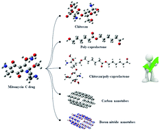 Graphical abstract: In the search of active nanocarriers for delivery of mitomycin C drug