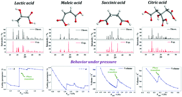 Graphical abstract: Organic acids under pressure: elastic properties, negative mechanical phenomena and pressure induced phase transitions in the lactic, maleic, succinic and citric acids