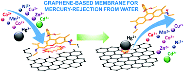 Graphical abstract: Water-dispersible few-layer graphene flakes for selective and rapid ion mercury (Hg2+)-rejecting membranes