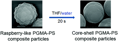 Graphical abstract: Deformation of raspberry-like polymer composite particles by colloidal fusion