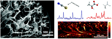 Graphical abstract: A SERS-based 3D nanobiosensor: towards cell metabolite monitoring