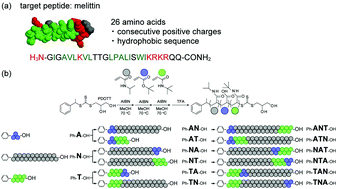 Graphical abstract: Controlling the block sequence of multi-block oligomer ligands for neutralization of a target peptide