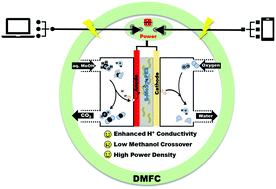 Graphical abstract: Sulfonated poly(ether sulfone) based sulfonated molybdenum sulfide composite membranes: proton transport properties and direct methanol fuel cell performance