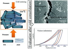 Graphical abstract: Low temperature consolidation of hydroxyapatite-reduced graphene oxide nano-structured powders