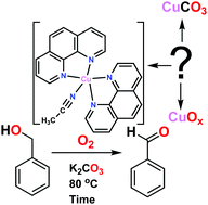 Graphical abstract: New findings and current controversies on oxidation of benzyl alcohol by a copper complex