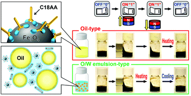 Graphical abstract: Magnetic and thermal responses of a nonvolatile shape memory fluid