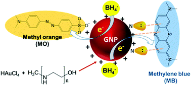 Graphical abstract: Synthesis of stable gold nanoparticles using linear polyethyleneimines and catalysis of both anionic and cationic azo dye degradation