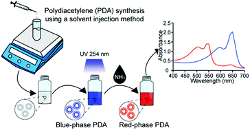 Graphical abstract: Fabrication of polydiacetylene particles using a solvent injection method