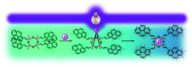 Graphical abstract: Cyclic siloxanes conjugated with fluorescent aromatic compounds as fluoride sensors