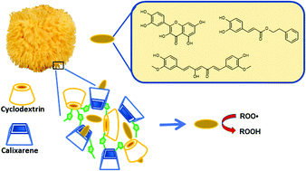 Graphical abstract: Nanosponges for the protection and release of the natural phenolic antioxidants quercetin, curcumin and phenethyl caffeate