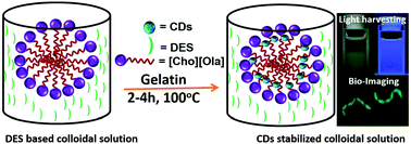 Graphical abstract: DES-N-doped oxygenated carbon dot colloidal solutions for light harvesting and bio-imaging applications