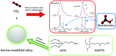 Graphical abstract: Chemisorption of CO2 on diaminated silica as bicarbonates and different types of carbamate ammonium ion pairs