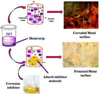 Graphical abstract: Recent developments in sustainable corrosion inhibitors: design, performance and industrial scale applications