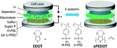 Graphical abstract: Boosting Li–S battery performance using an in-cell electropolymerized conductive polymer