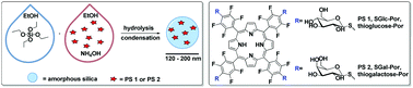 Graphical abstract: Encapsulation of glycosylated porphyrins in silica nanoparticles to enhance the efficacy of cancer photodynamic therapy