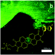 Graphical abstract: Pourbaix sensors in polyurethane molecular logic-based coatings for early detection of corrosion