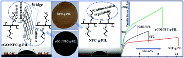 Graphical abstract: Reduced graphene oxide integrated poly(ionic liquid) functionalized nano-fibrillated cellulose composite paper with improved toughness, ductility and hydrophobicity