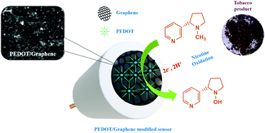 Graphical abstract: An electrochemically exfoliated graphene/poly(3,4-ethylenedioxythiophene) nanocomposite-based electrochemical sensor for the detection of nicotine