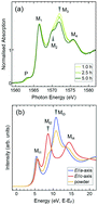 Graphical abstract: Formation of various-axis-oriented wurtzite nuclei and enlargement of the a-axis-oriented region in AlFeN films deposited on Si(100) substrates