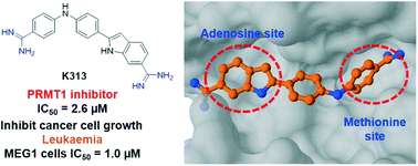Graphical abstract: Pharmacophore-based screening of diamidine small molecule inhibitors for protein arginine methyltransferases