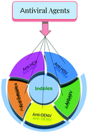 Graphical abstract: Indole – a promising pharmacophore in recent antiviral drug discovery