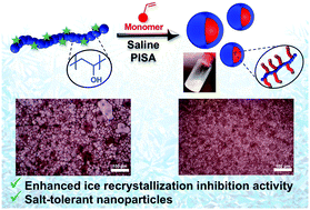 Graphical abstract: Ice recrystallisation inhibiting polymer nano-objects via saline-tolerant polymerisation-induced self-assembly