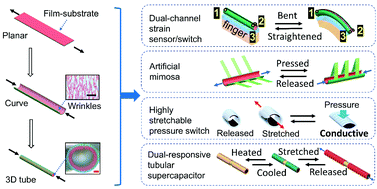 Graphical abstract: Spontaneous formation of wrinkle-driven tubular structure as a versatile platform for adaptive 3D stretchable electronics