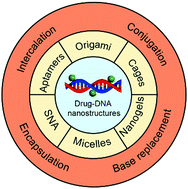 Graphical abstract: Chemotherapeutic drug–DNA hybrid nanostructures for anti-tumor therapy