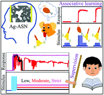 Graphical abstract: On synapse intelligence emulated in a self-formed artificial synaptic network