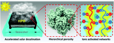 Graphical abstract: Accelerating solar desalination in brine through ion activated hierarchically porous polyion complex hydrogels