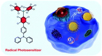 Graphical abstract: Stable π-radical nanoparticles as versatile photosensitizers for effective hypoxia-overcoming photodynamic therapy