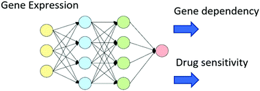 Graphical abstract: Prediction of cancer dependencies from expression data using deep learning