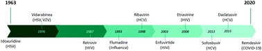 Graphical abstract: Genetic and structural analyses of ssRNA viruses pave the way for the discovery of novel antiviral pharmacological targets