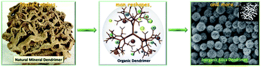 Graphical abstract: Comprehensive understanding of the synthesis and formation mechanism of dendritic mesoporous silica nanospheres