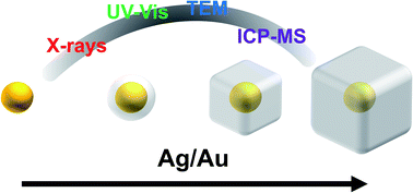 Graphical abstract: Determining the morphology and concentration of core–shell Au/Ag nanoparticles