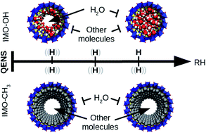 Graphical abstract: Dynamics in hydrated inorganic nanotubes studied by neutron scattering: towards nanoreactors in water