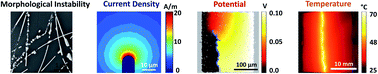 Graphical abstract: Dynamic degradation of metallic nanowire networks under electrical stress: a comparison between experiments and simulations
