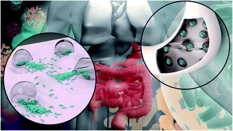 Graphical abstract: Nanomaterial-based encapsulation for controlled gastrointestinal delivery of viable probiotic bacteria