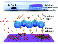 Graphical abstract: Controlled growth of large-scale uniform 1T′ MoTe2 crystals with tunable thickness and their photodetector applications