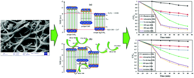Graphical abstract: Enhanced visible light-active CeO2/CuO/Ag2CrO4 ternary heterostructures based on CeO2/CuO nanofiber heterojunctions for the simultaneous degradation of a binary mixture of dyes
